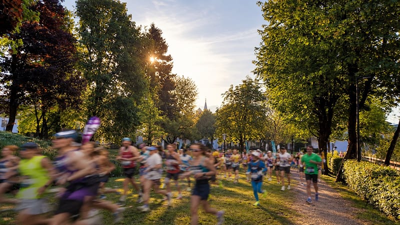 Läuferinnen und Läufer auf einem Weg durch den Stadtpark, Bäume im Gegenlicht, im Hintergrund ein Kirchturm